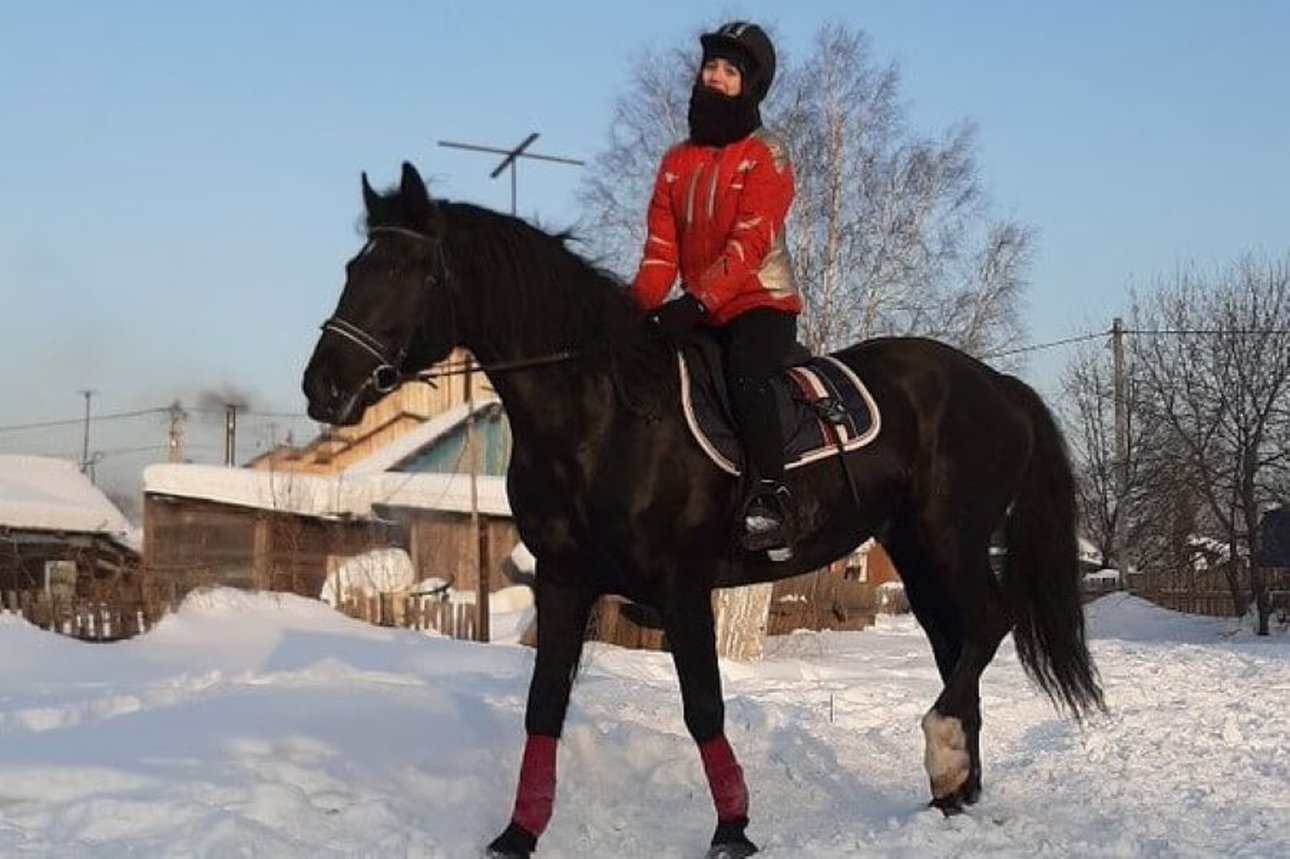 Подбор лошади для конных прогулок: советы начинающим